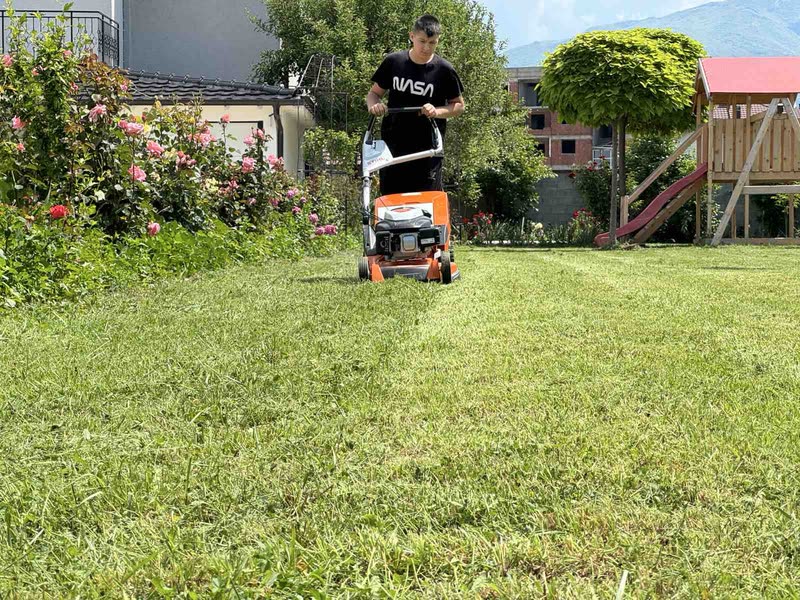 Tree Cutting